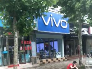 溫州商貿城臨街門面，260萬元投資背后的機遇與挑戰